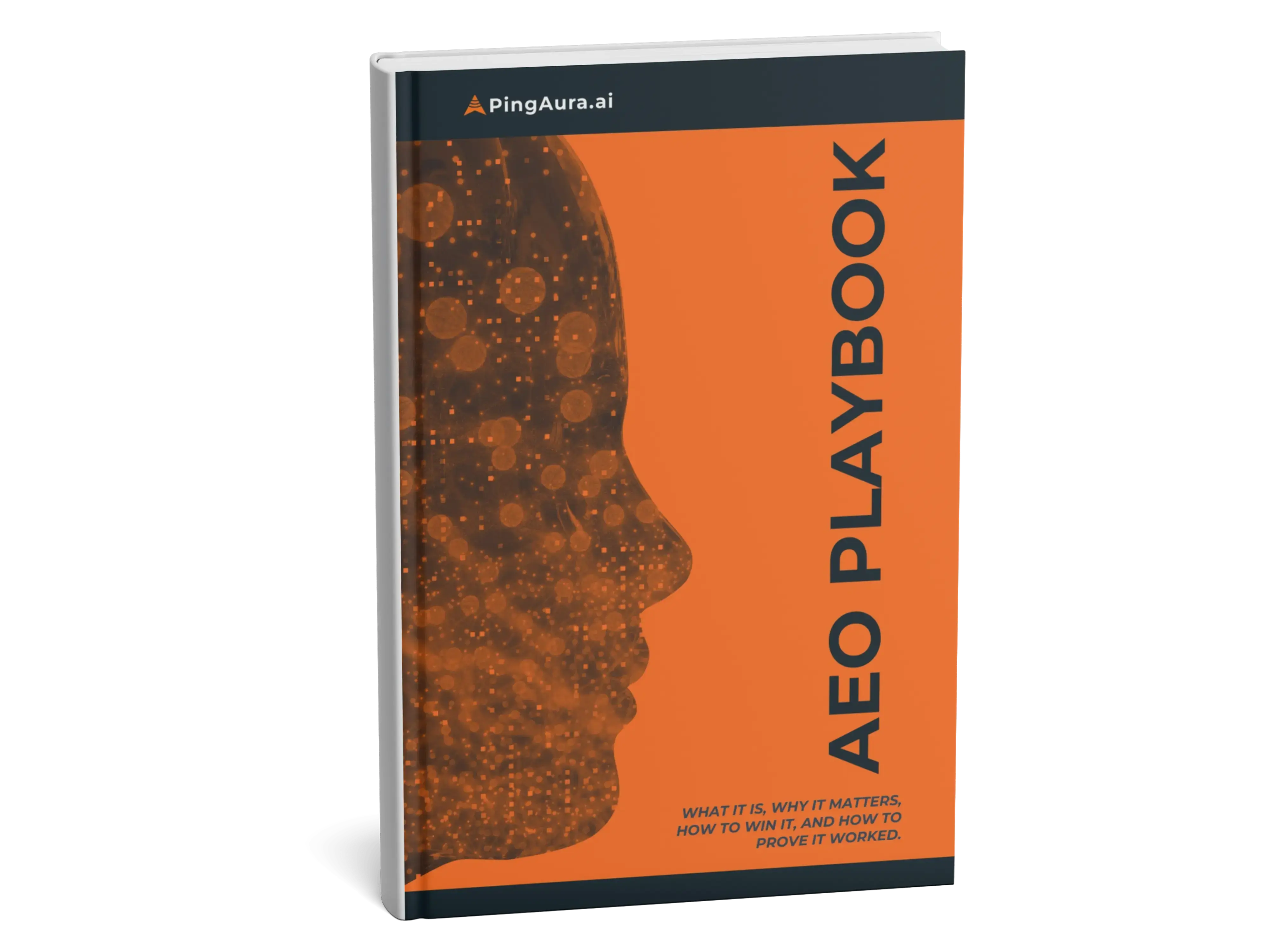 The Complete AEO Playbook cover